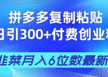 拼多多复制粘贴日引300+付费创业粉，割韭菜月入6位数最新教程！